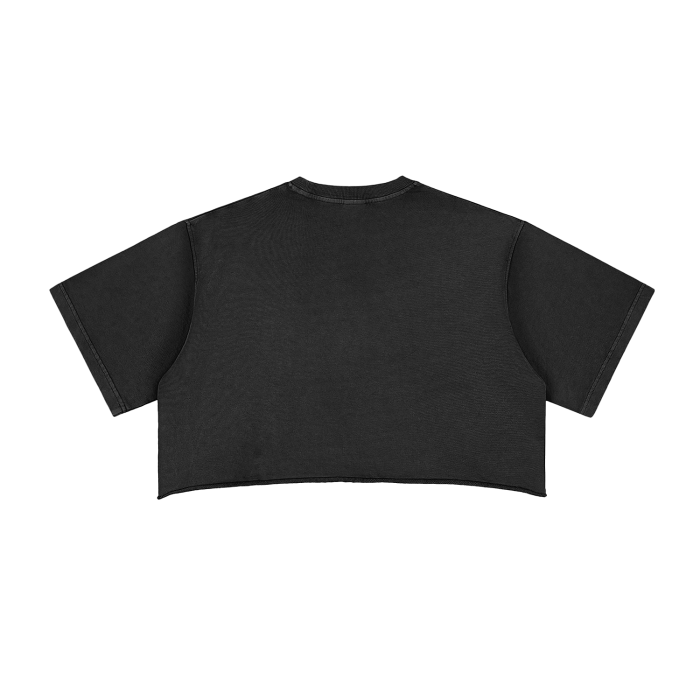 My Truths Snow Washed Raw Edge Crop Top