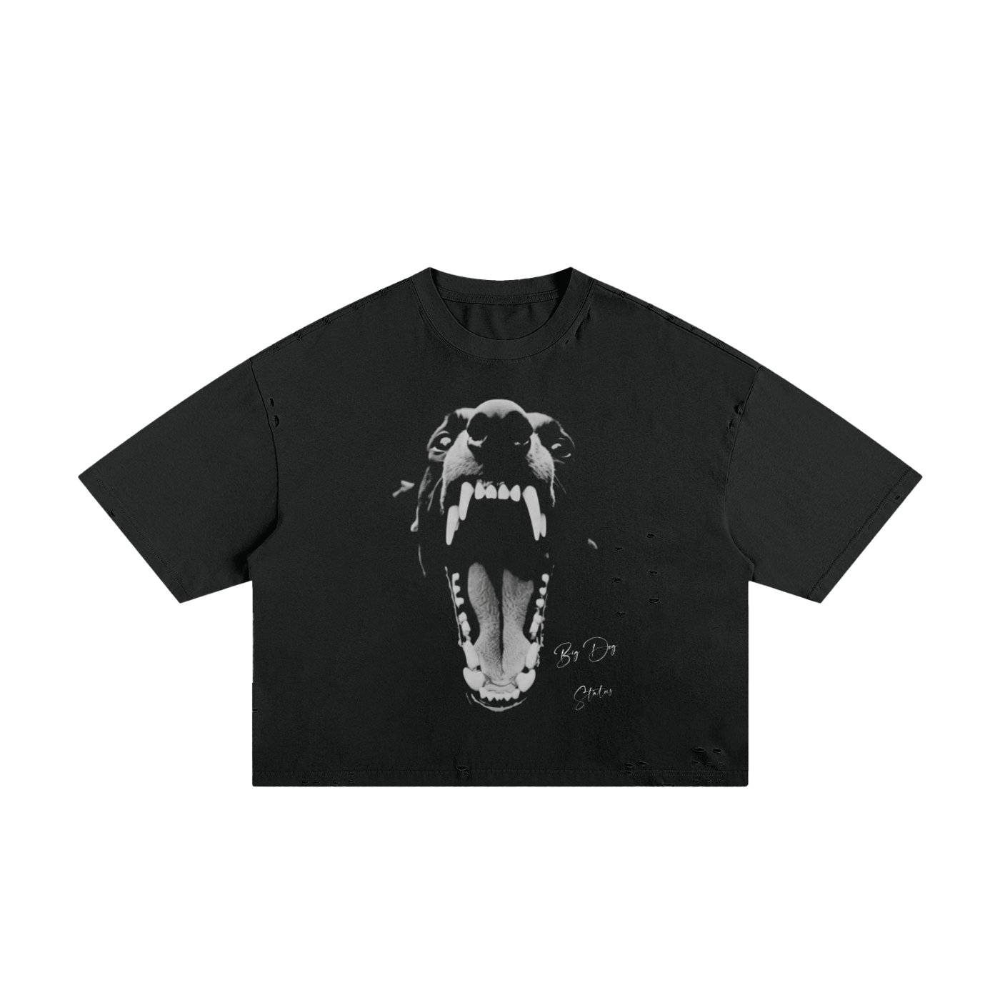 Big Dog Status Boxy Tee