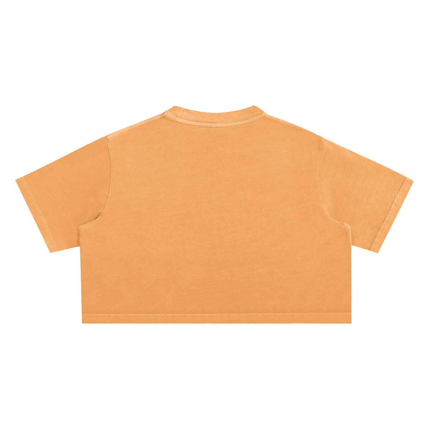 My Truths Snow Washed Crop Top