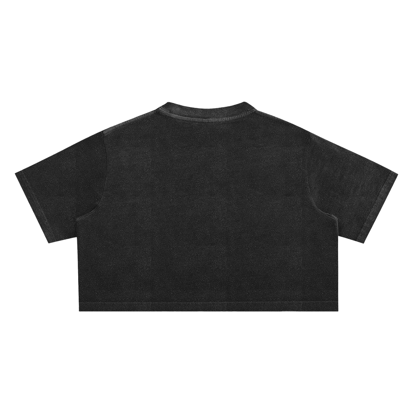 My Truths Snow Washed Crop Top