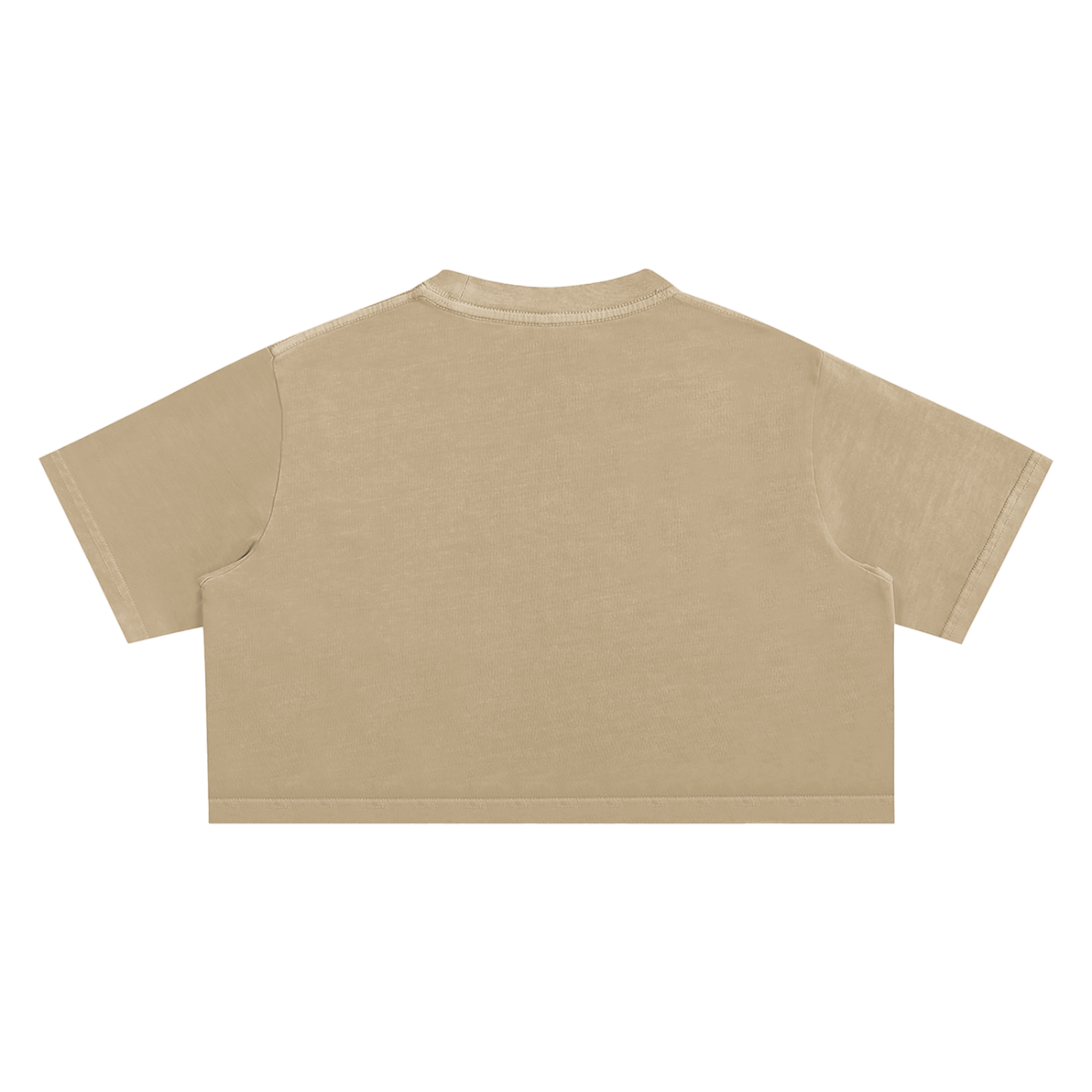 My Truths Snow Washed Crop Top