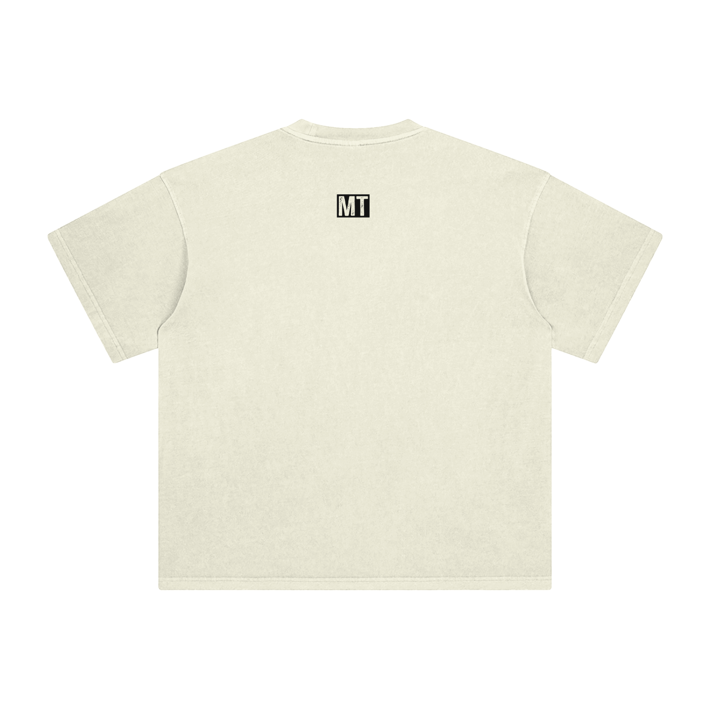 Houston Texas T-Shirt