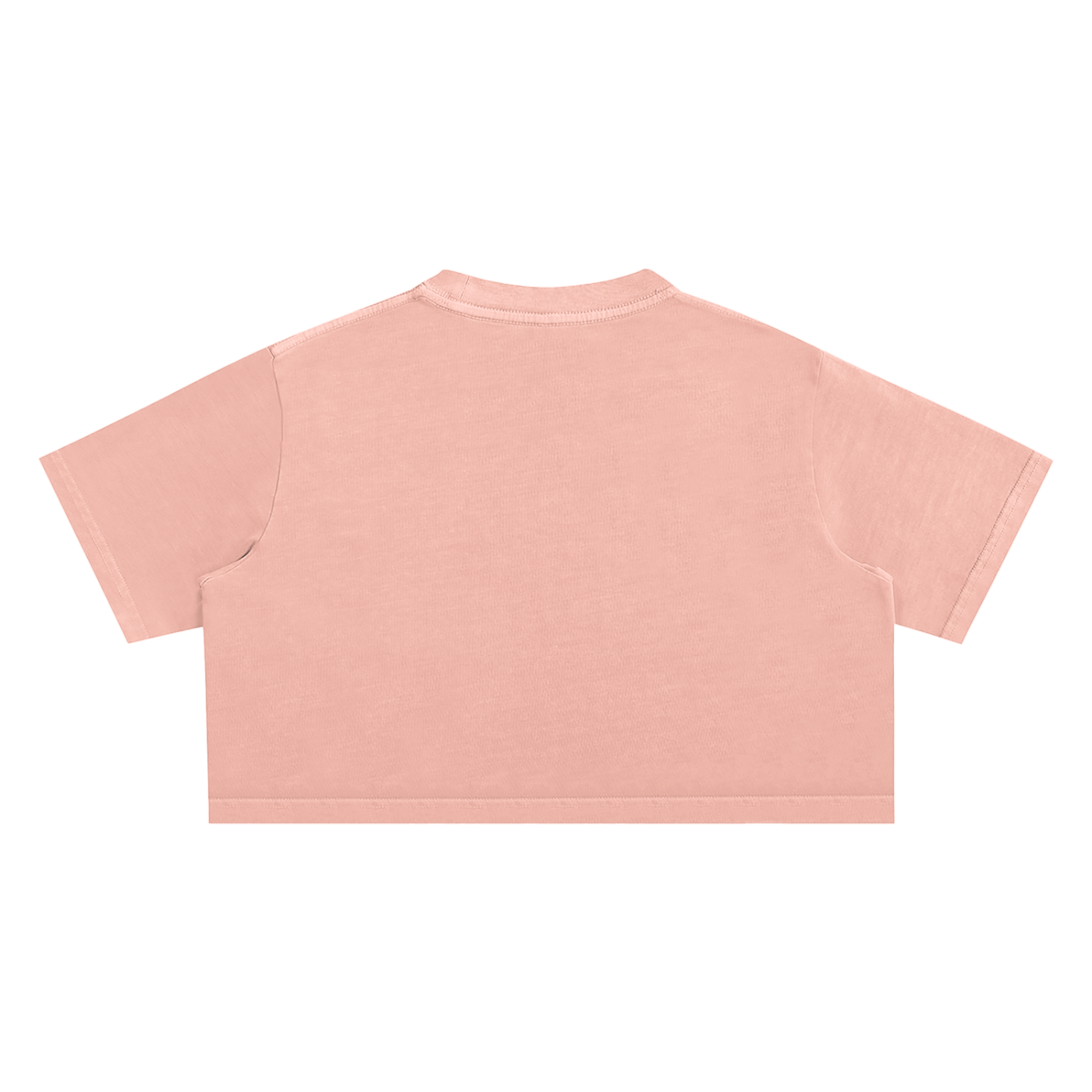 My Truths Snow Washed Crop Top